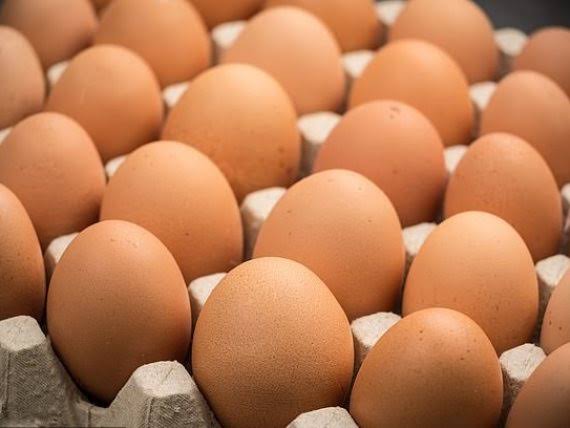 اسعار كرتونة البيض اليوم الاثنين 1 فبراير 2021