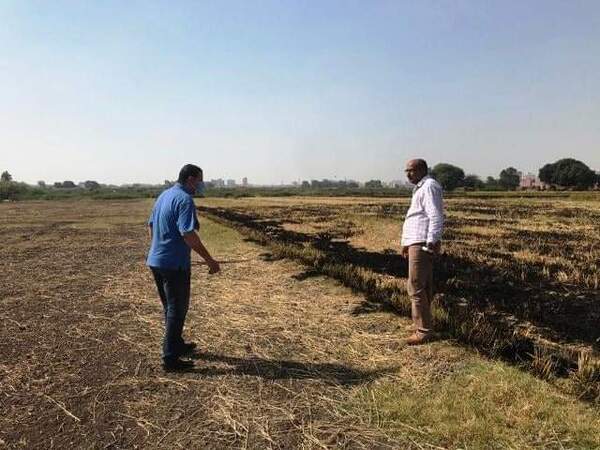 رصد مزارعين يقومان بحرق قش الارز وإتخاذ الإجراءات القانونية ضدهما