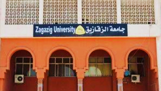٥١ عالم بجامعة الزقازيق ضمن أفضل ٢% من العلماء الأكثر تميزاً في قائمة ستانفورد الأمريكية ٢٠٢٤