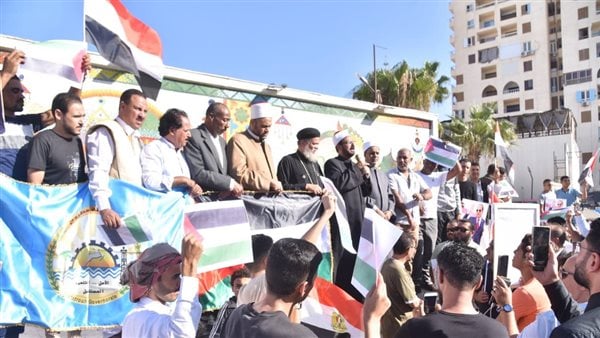 محافظات مصر تنتفض دعما لفلسطين