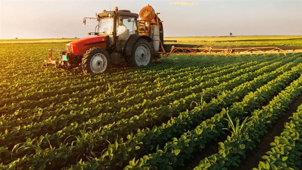رئيس مركز معلومات تغير المناخ: تراجع الإجهاد الحراري يفيد المحاصيل الجديدة والمتأخرة