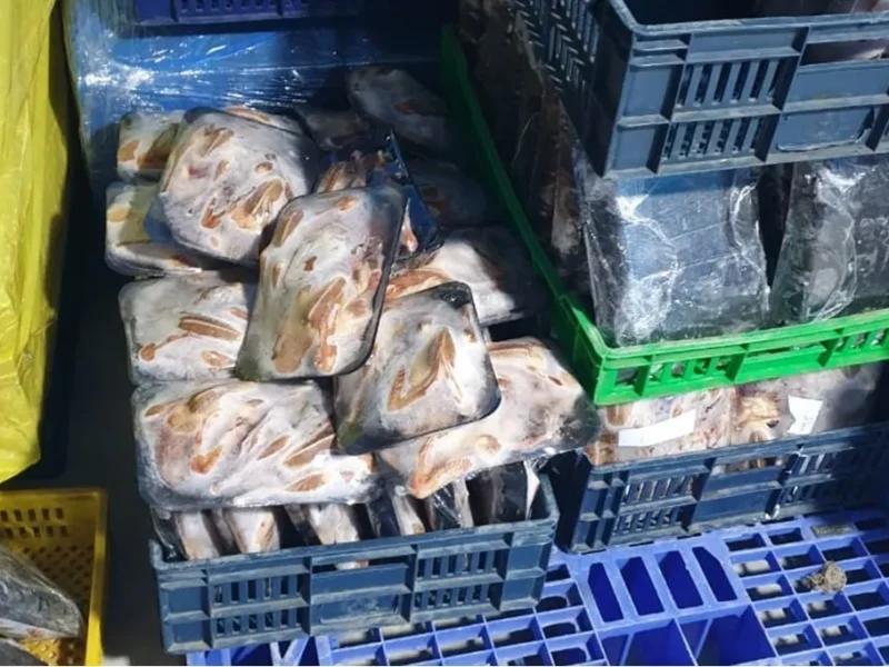 بيطري الشرقية يضبط أكثر من 4 أطنان من اللحوم والدواجن والأسماك غير الصالحة للاستهلاك الآدمي