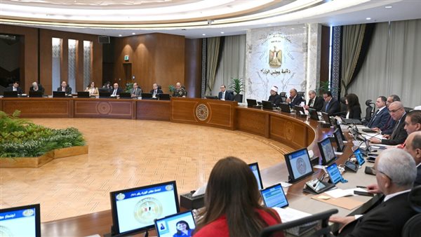 ۲۰۰۰ جنيه سعرًا لتوريد أردب القمح لموسم 2024-2025