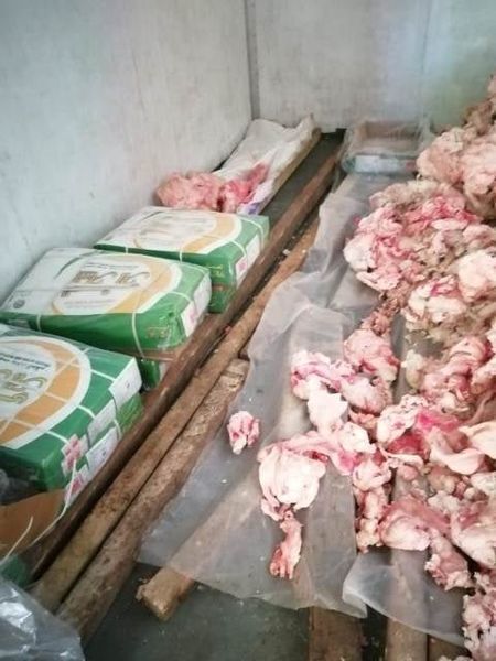 إستمرار شن الحملات التفتيشية المشتركة بين محافظة الشرقية وهيئة الرقابة الإدارية لمتابعة أداء القطاعات الخدمية بالمراكز والمدن والأحياء