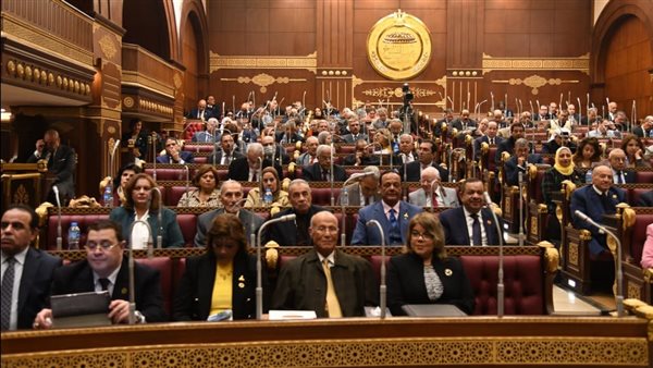 مجلس الشيوخ يناقش اليوم سياسة الحكومة حول السياسات التحفيزية للمصريين بالخارج