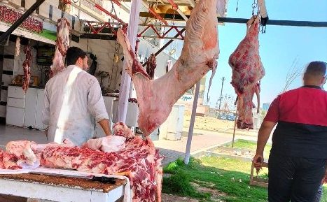 تموين الشرقية تكثيف الحملات التموينية على محال الجزارة وشودار بيع اللحوم