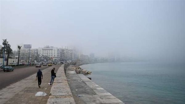 توقعات بهطول أمطار متوسطة وارتفاع الأمواج 3.5 متر في الإسكندرية ..اليوم