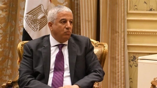 تفاصيل اجتماع خارجية النواب لمناقشة مشكلات المصريين بالخارج