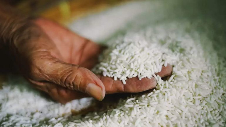إستمرار إنتظام عملية توريد الأرز لمواقع التجميع بنطاق محافظة الشرقية