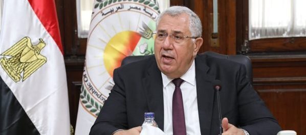 الزراعة: ارتفاع صادرات مصر الزراعية إلى 5.3 مليون طن