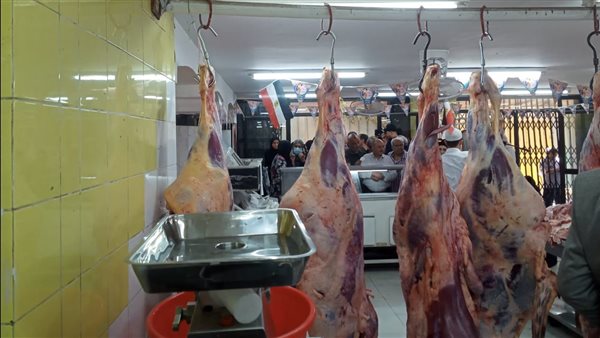 وزارة التموين تتابع التخفيضات على اللحوم البرازيلي في المجمعات الاستهلاكية…اليوم