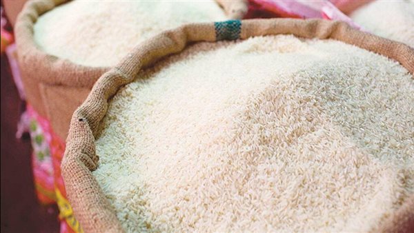 محافظ الشرقية يتابع انتظام سير عملية توريد محصول الأرز الشعير لمواقع التجميع