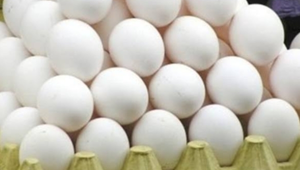 أسعار كرتونة البيض اليوم الإثنين 20-12-2021