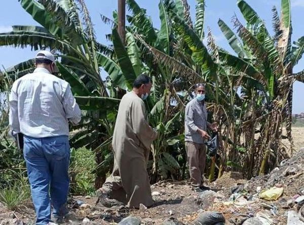 عاجل…زراعة الشرقية تُطلق الحملة القومية لمكافحة القوارض إستعداداً لزراعة المحاصيل الصيفية
