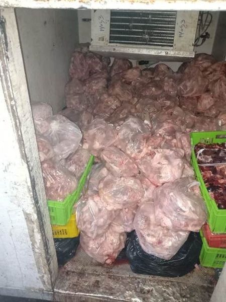 ضبط نصف طن هياكل دواجن غير صالحة للإستهلاك الآدمي في حملات تموينية وتفتيشية مفاجئة على التجار بمدينه العاشر من رمضان