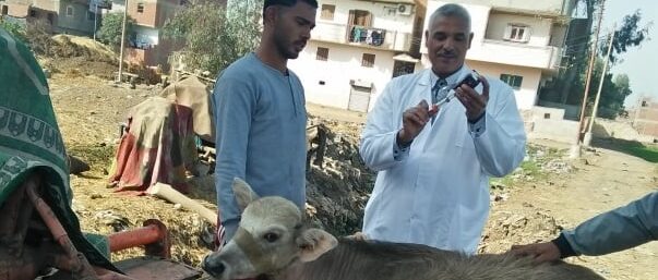جامعة الزقازيق: فحص 2615 طائرًا في قافلة بيطرية بـ”عزبة وهبة شلبي”
