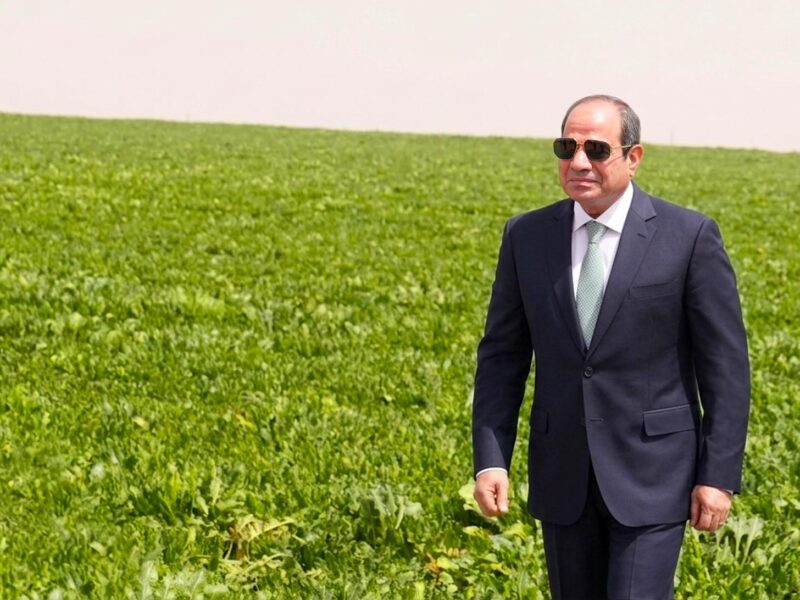 الموقع الرئاسي ينشر فيديو افتتاح الرئيس السيسي مشروع الدلتا الجديدة