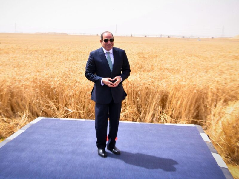 إشادات برلمانية واسعة بمشروع «الدلتا الجديدة»: ملحمة قومية تعزز الأمن الغذائي وتدعم الاقتصاد الوطني