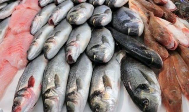 أسعار السمك اليوم الاربعاء 20 يناير 2021