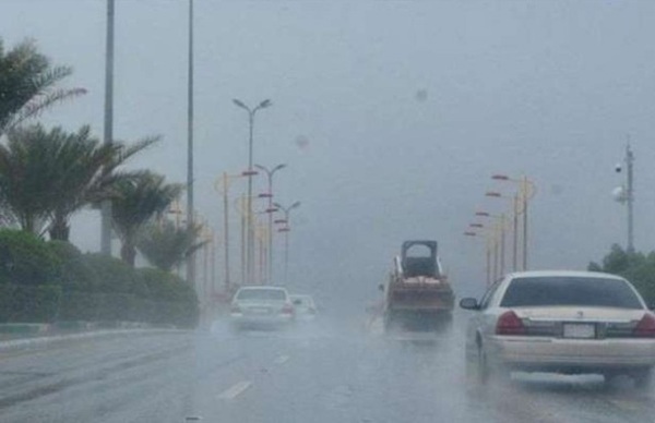 وزارة التنمية المحلية: وفاة عاملي صرف صحي بسبب موجة الطقس السيئ بالإسكندرية