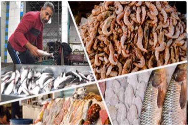 استقرار أسعار الأسماك في سوق العبور 28 مارس
