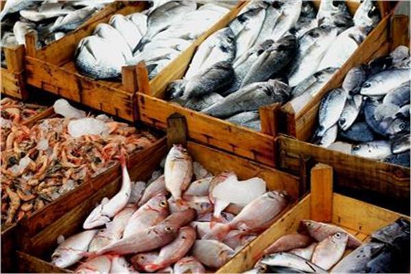 أسعار الأسماك في سوق العبور الأربعاء 29 أبريل