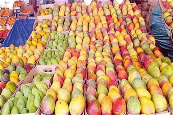 أسعار المانجو بسوق العبور الجمعة 24 يوليو.. والبلدي بـ 7 جنيهات