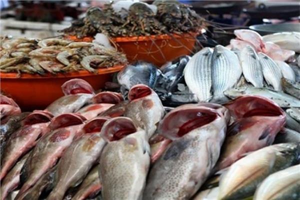 أسعار الأسماك في سوق العبور السبت 25 يوليو