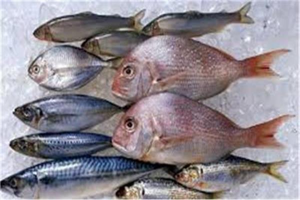 أسعار الأسماك في سوق العبور اليوم7 مارس