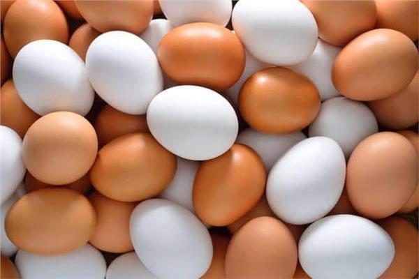 اسعار البيض اليوم الجمعة 18-3-2022