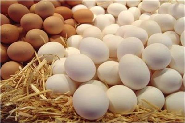 أسعار البيض اليوم الأحد 11 فبراير