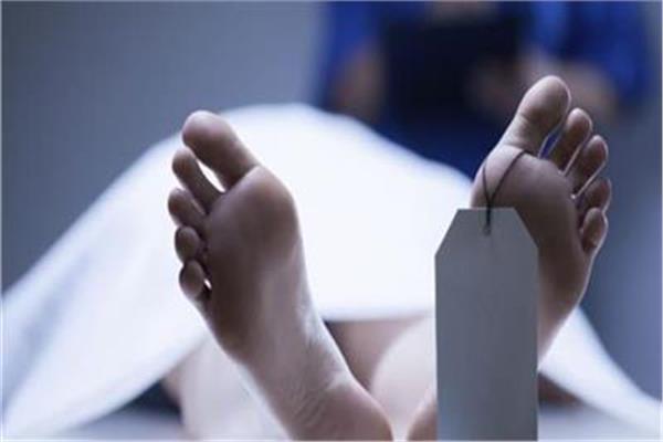 جنايات الزقازيق : السجن 3 سنوات لصيدلي متهم بقتل والدته في اولاد صقر