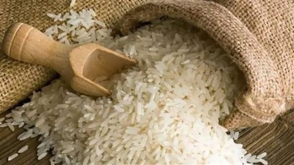 شعبة الأرز تكشف مفاجأة عن الأسعار..