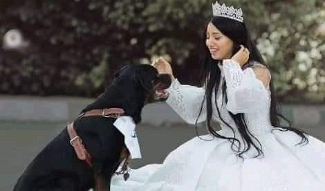 فتاة مصرية تعلن زواجها من كلب!!