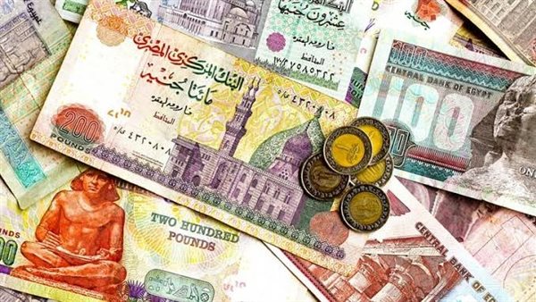 أسعار العملات العربية اليوم الجمعة 21/يونيو/2024