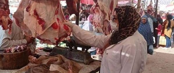 بيطري الشرقية يحرر 137 محضر مخالفة و يضبط 3 طن و 133 كجم لحوم و 98 كجم كبده