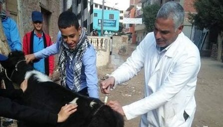 جامعة الزقازيق توجه قافلة بيطرية لقرية غزالة الخيس مركز الزقازيق