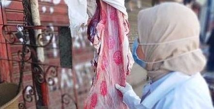 بيطري الشرقية يحرر 3 محاضر مخالفة ويضبط 416 كجم دواجن و 10 كجم لحوم مجمدة مخالفة