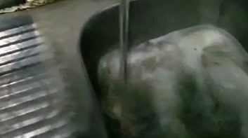 أهالي قرية قشا بمشتول السوق يطالبون بتوفير مياه شرب نظيفة ومحافظة الشرقية تستجيب