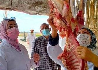 بيطري الشرقية يُحرر 114محضر مخالفة ويضبط 10 طن و 720 كجم لحوم و دجاج و أسماك مخالفة