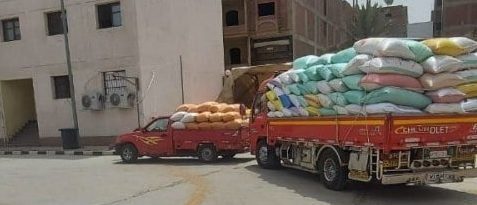 توريد (٧٥١٠) طن من الذهب الأصفر لصوامع وشون الشرقية