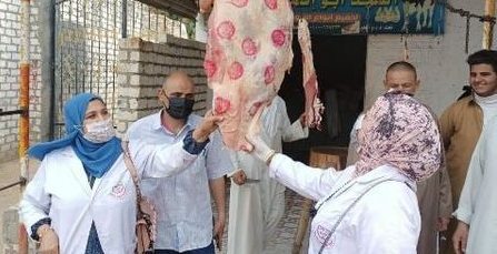بيطري الشرقية يضبط 535 كجم لحوم وأسماك ورنجة مخالفة خلال حملات تفتيشية