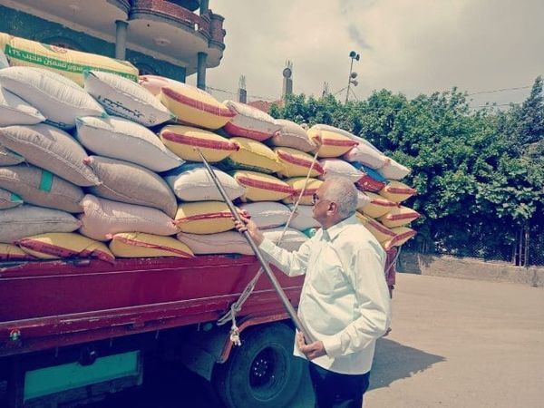 صوامع وشون الشرقية تستقبل (٢٧١٠١) طن و (٩٤٧) كيلو من الذهب الأصفر