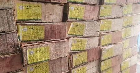 ضبط طن ونصف أسماك مجهولة المصدر داخل أحد مصانع لتصنيع الأسماك المدخنة بصان الحجر