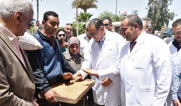 محافظ الشرقية يتفقد شونة بنك التنمية والإئتمان الزراعى بالنخاس وصومعة مطاحن شرق الدلتا