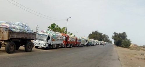 حصاد ٢١٤ ألف و٨٠١ فدان وشون وصوامع الشرقية تستقبل ١٢٧٥١٣ ألف طن و٩٧٠ كيلو من سنابل القمح