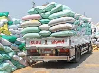 ٥٥ موقع تخزيني بالشرقية تستقبل ٦١٠٥٠٨ طن و ٢٩٩ ألف من حبوب الذهب الأصفر