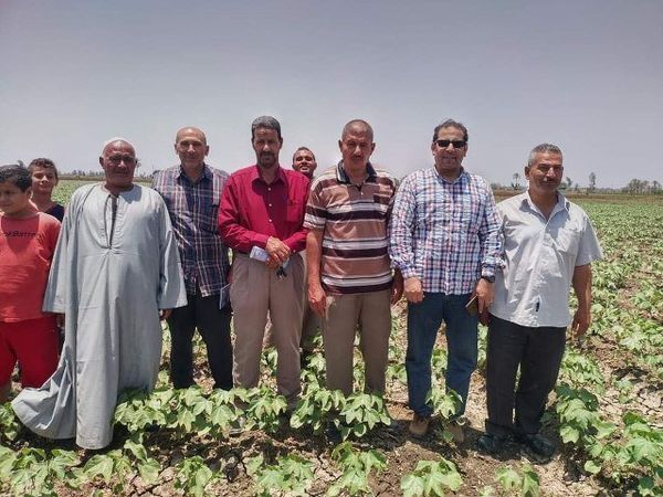 زراعه الشرقية : إستمرار تنفيذ الندوات الإرشادية للمزارعين للنهوض بمحصول القطن وزيادة إنتاجيته