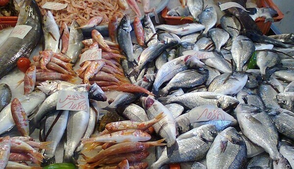 أسعار السمك اليوم الجمعة 22 يناير 2021