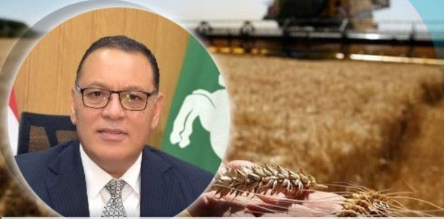 صوامع وشون محافظة الشرقية تستمر في استقبال أطنان القمح حتى أغسطس القادم